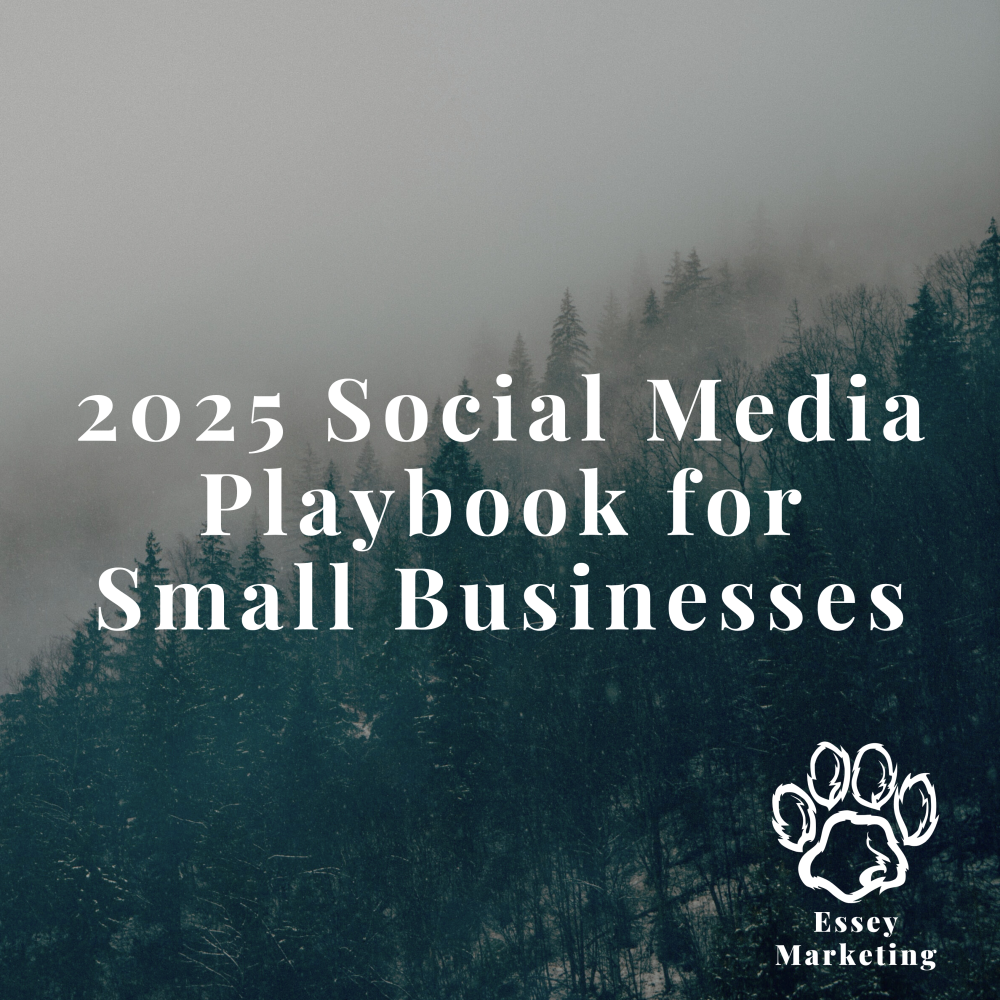 2025 Social Media Playbook for Small Businesses | Essey Marketing