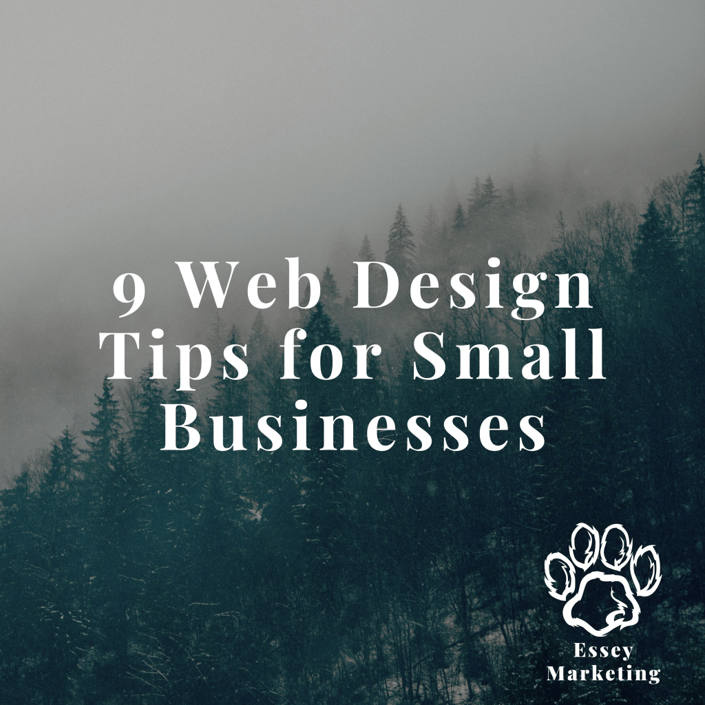 9 Web Design Tips for Small Businesses | Essey Marketing