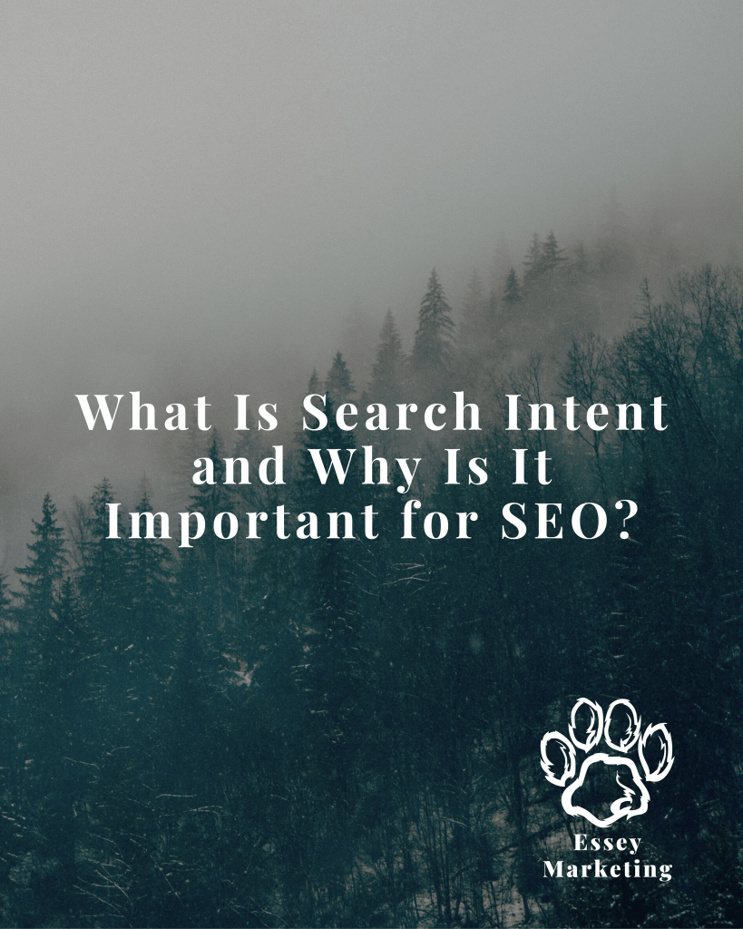 What Is Search Intent and Why Is It Important for SEO? | Essey Marketing